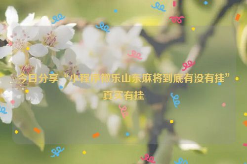 今日分享“小程序微乐山东麻将到底有没有挂”真实有挂