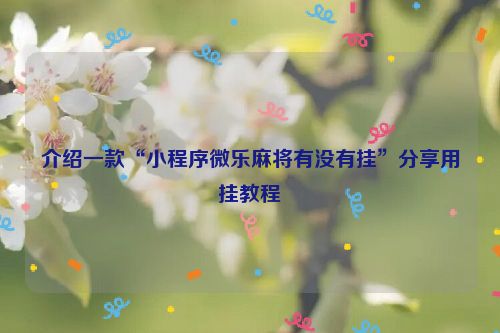 介绍一款“小程序微乐麻将有没有挂”分享用挂教程