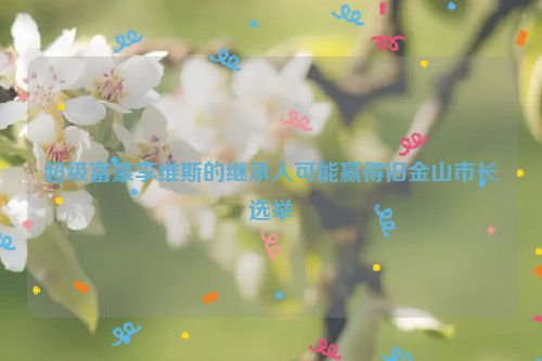 超级富豪李维斯的继承人可能赢得旧金山市长选举