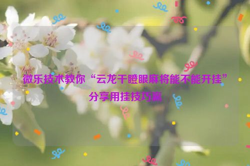 微乐技术教你“云龙干瞪眼麻将能不能开挂”分享用挂技巧赢