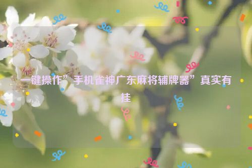 一键操作”手机雀神广东麻将辅牌器”真实有挂