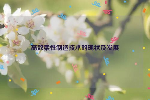 高效柔性制造技术的现状及发展