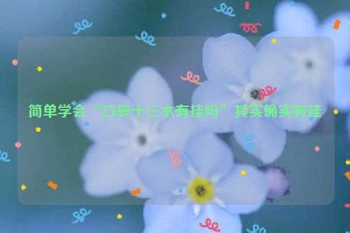 简单学会“口袋十三水有挂吗”其实确实有挂