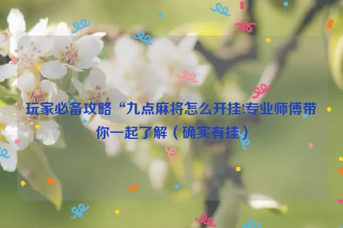 玩家必备攻略“九点麻将怎么开挂!专业师傅带你一起了解（确实有挂）