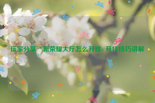 玩家分享“新荣耀大厅怎么开挂- 开挂技巧讲解