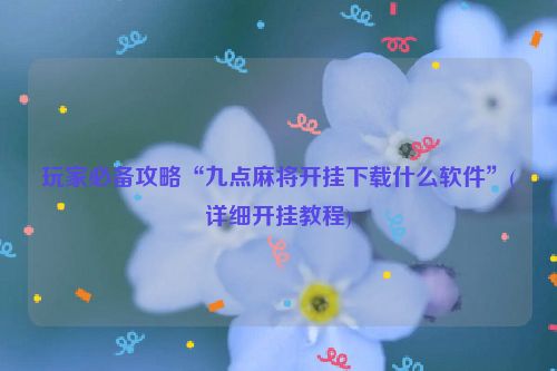 玩家必备攻略“九点麻将开挂下载什么软件”(详细开挂教程)