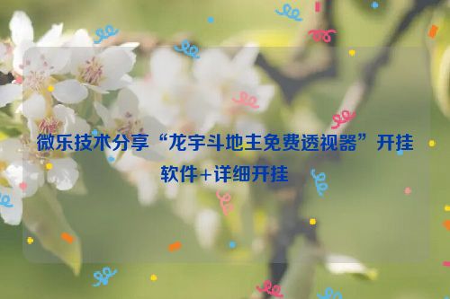 微乐技术分享“龙宇斗地主免费透视器”开挂软件+详细开挂