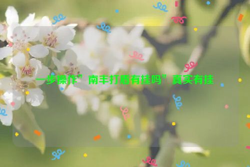 一步操作”南丰打盾有挂吗”真实有挂