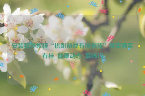 安装程序教程“拱趴游戏有没有挂”其实确实有挂_健康动态_喜临门