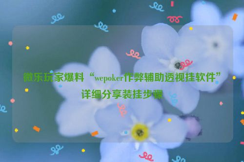 微乐玩家爆料“wepoker作弊辅助透视挂软件”详细分享装挂步骤