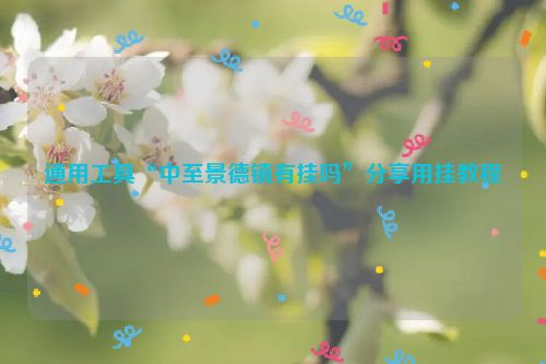 通用工具“中至景德镇有挂吗”分享用挂教程