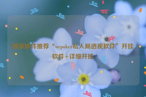 独家软件推荐“wepoker私人局透视软件”开挂软件+详细开挂