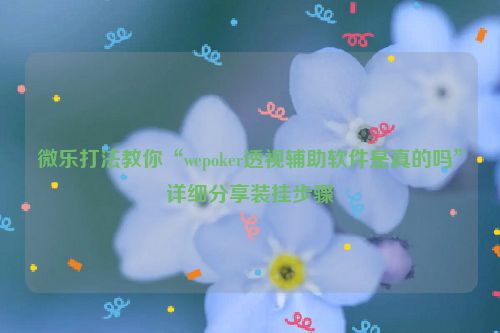 微乐打法教你“wepoker透视辅助软件是真的吗”详细分享装挂步骤