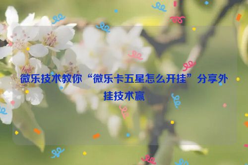 微乐技术教你“微乐卡五星怎么开挂”分享外挂技术赢