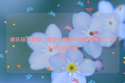 微乐技术教你“微信干瞪眼小程序辅助器”真实开挂技巧赢