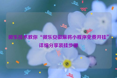 微乐技术教你“微乐安徽麻将小程序免费开挂”详细分享装挂步骤