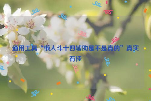 通用工具“懒人斗十四辅助是不是真的”真实有挂