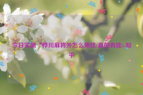 今日实测“桦川麻将外怎么用挂(真的有挂)-知乎