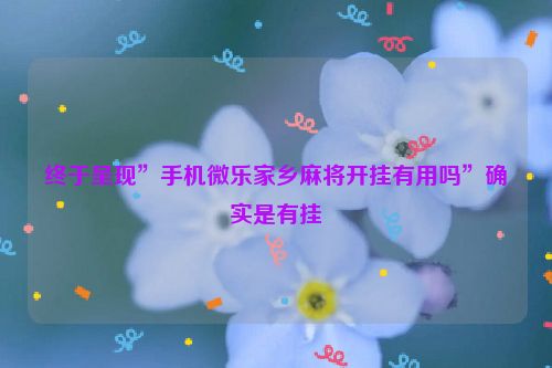 终于呈现”手机微乐家乡麻将开挂有用吗”确实是有挂