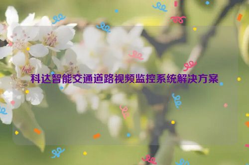 科达智能交通道路视频监控系统解决方案