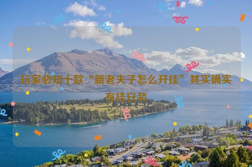 玩家必知十款“新老夫子怎么开挂”其实确实有挂安装