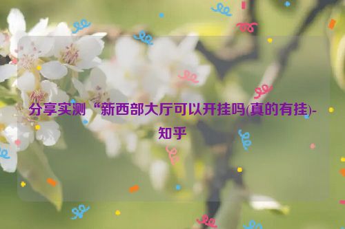 分享实测“新西部大厅可以开挂吗(真的有挂)-知乎