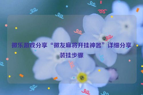 微乐游戏分享“微友麻将开挂神器”详细分享装挂步骤