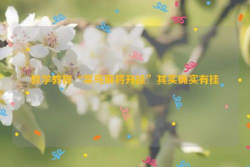 教学教程“菜鸟麻将开挂”其实确实有挂