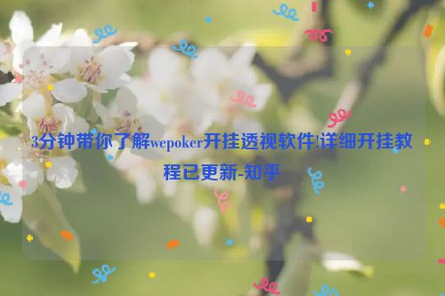 3分钟带你了解wepoker开挂透视软件!详细开挂教程已更新-知乎