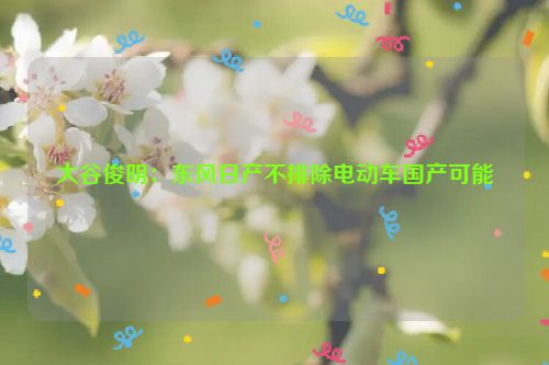 大谷俊明：东风日产不排除电动车国产可能