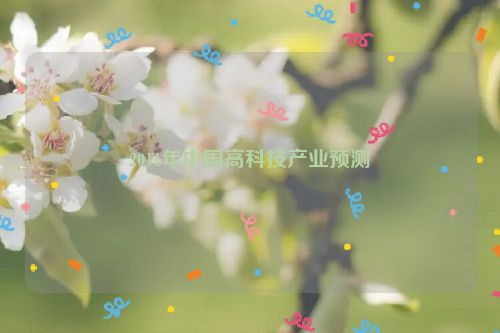 2011年中国高科技产业预测
