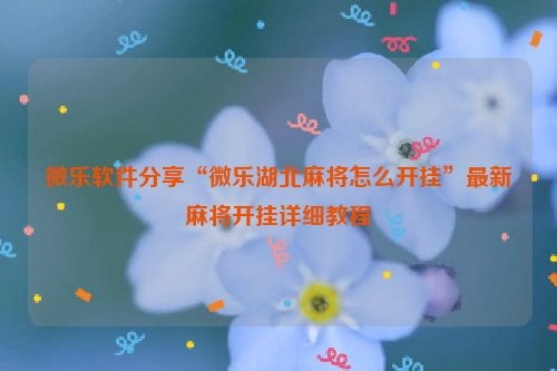 微乐软件分享“微乐湖北麻将怎么开挂”最新麻将开挂详细教程