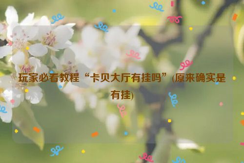 玩家必看教程“卡贝大厅有挂吗”(原来确实是有挂)