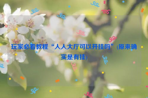 玩家必看教程“人人大厅可以开挂吗”(原来确实是有挂)