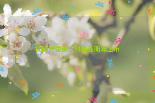 沈阳产雪佛兰科鲁兹明年上市