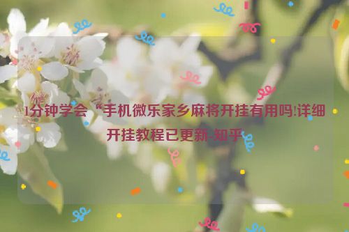 1分钟学会“手机微乐家乡麻将开挂有用吗!详细开挂教程已更新-知乎