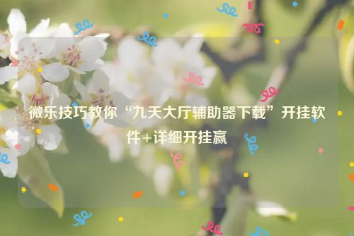 微乐技巧教你“九天大厅辅助器下载”开挂软件+详细开挂赢