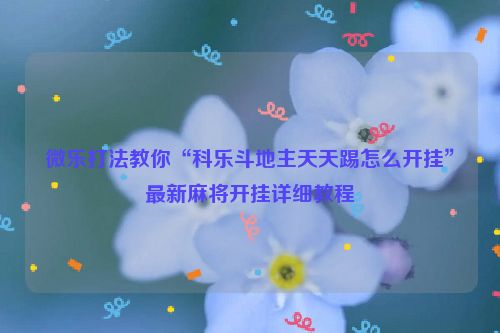 微乐打法教你“科乐斗地主天天踢怎么开挂”最新麻将开挂详细教程