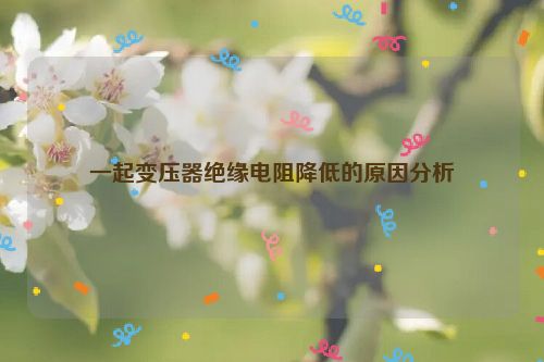 一起变压器绝缘电阻降低的原因分析
