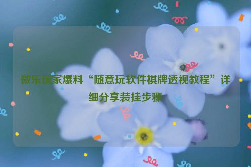 微乐玩家爆料“随意玩软件棋牌透视教程”详细分享装挂步骤