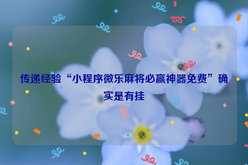 传递经验“小程序微乐麻将必赢神器免费”确实是有挂