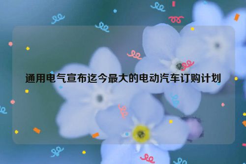 通用电气宣布迄今最大的电动汽车订购计划