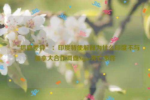 “信息差异”：印度特使解释为什么印度不与加拿大合作调查Nijjar死亡事件