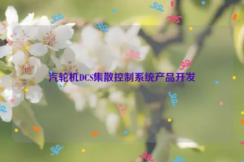 汽轮机DCS集散控制系统产品开发