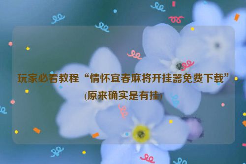 玩家必看教程“情怀宜春麻将开挂器免费下载”(原来确实是有挂)