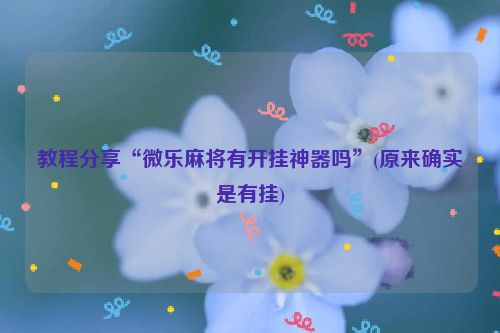 教程分享“微乐麻将有开挂神器吗”(原来确实是有挂)