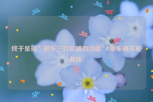 终于呈现”微乐三打哈辅助功能”(原来确实是有挂)