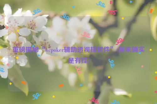 重磅揭秘“wepoker辅助透视挂软件”(原来确实是有挂)