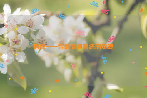 信息——智能交通系统的灵魂