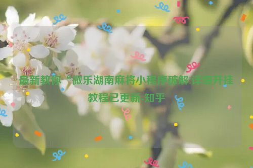最新教你“微乐湖南麻将小程序破解!详细开挂教程已更新-知乎